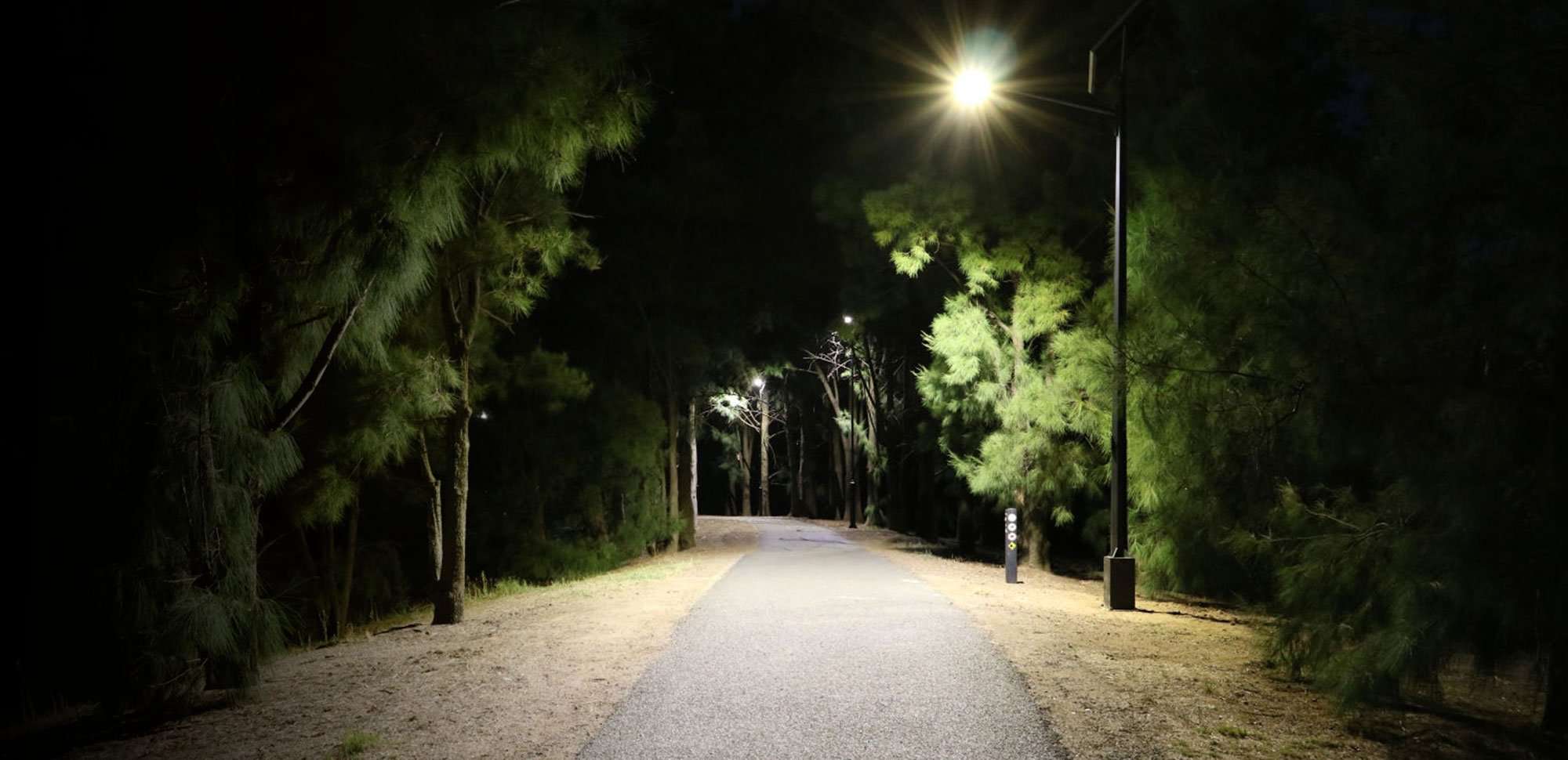From the CEO: Showing the UK that Australian Solar Lights perform well beyond our Cricket Team
